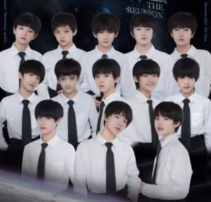 TF家族三代