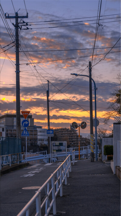 只有日本