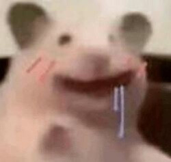 嘿嘿模版