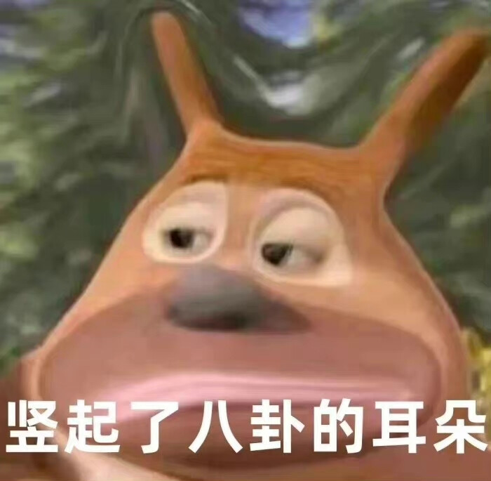 熊二表情包