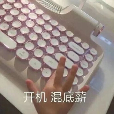 摆烂表情包