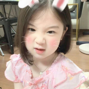 萌宠头像/萌娃头像合集