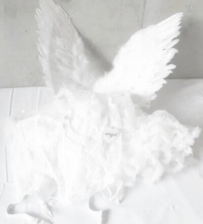 ʚ❨ angel heart ☾ ✰ ɞ⋆