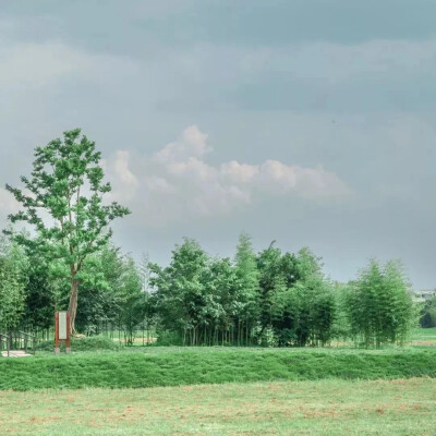 风景头像