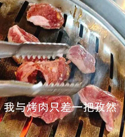 智者不入爱河