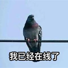 沙雕表情包