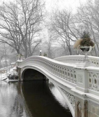 雪景