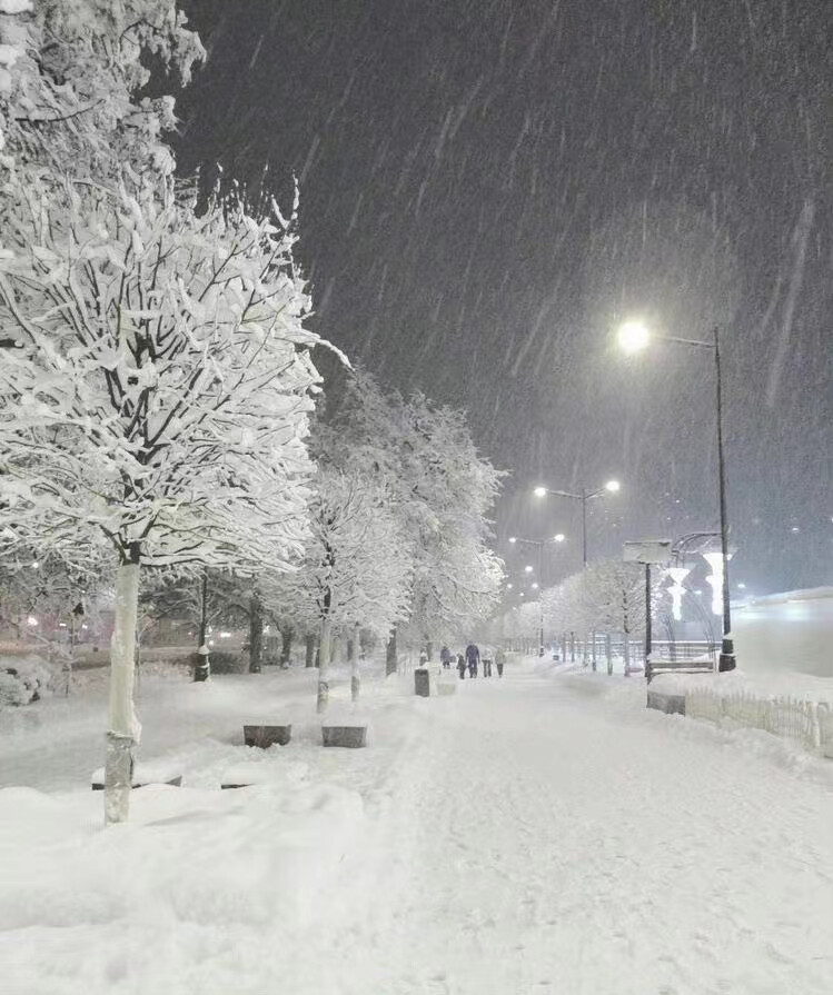 雪景