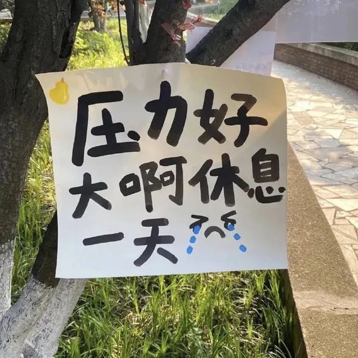 活的像个旁观者，会轻松很多。——《撒野》