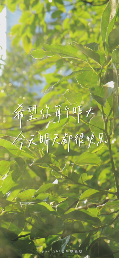 #壁纸##手机壁纸##考研上岸#
绿色风景系壁纸
“希望你每个昨天，今天明天都很快乐”
cr@半颗荔枝i