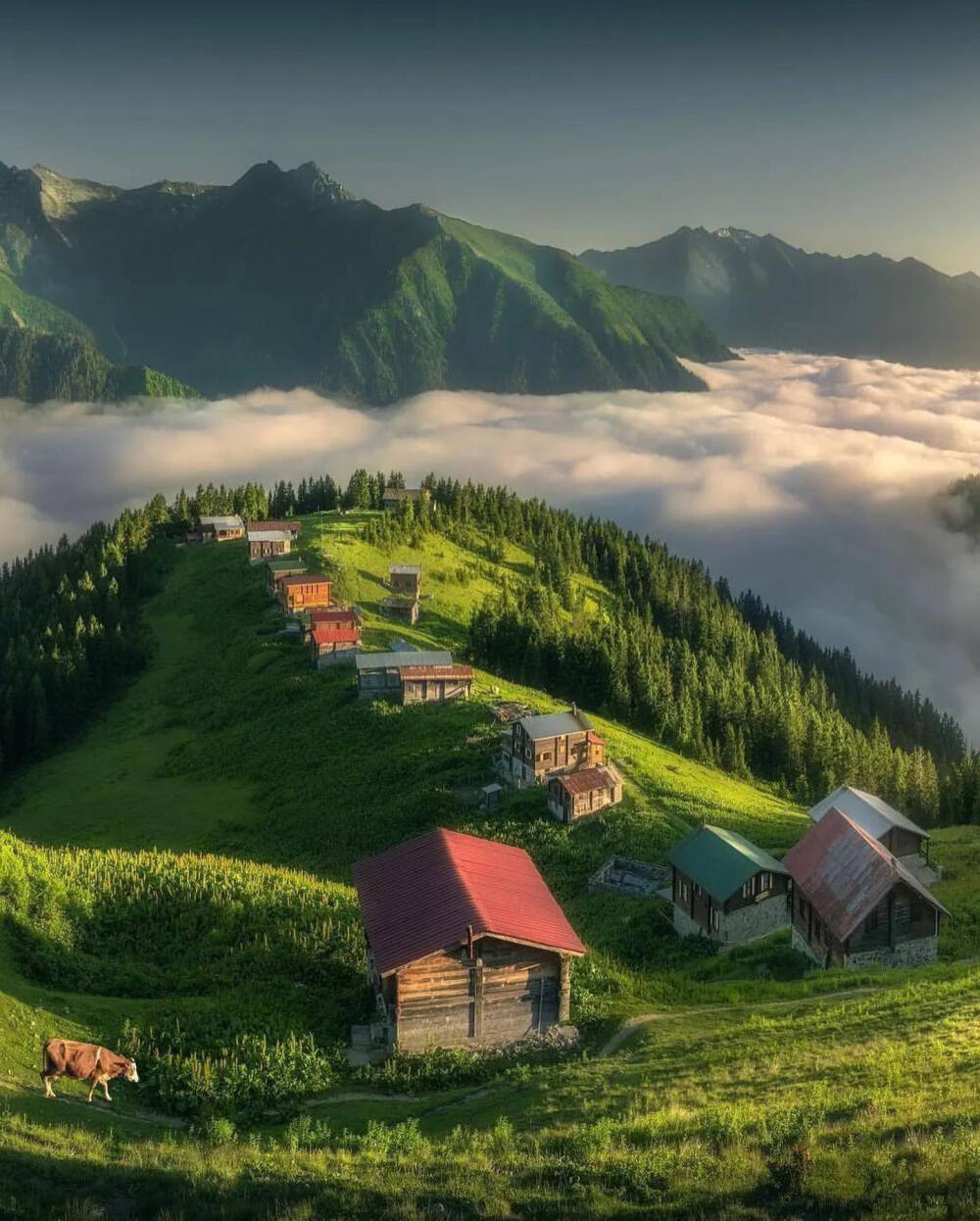 朝陽(yáng) Karadeniz Black Sea Highlands 卡拉丹尼斯地區(qū) 黑海高地 土耳其 ins travilkenzo