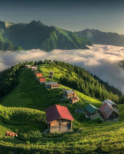 朝阳 Karadeniz Black Sea Highlands 卡拉丹尼斯地区 黑海高地 土耳其 ins travilkenzo