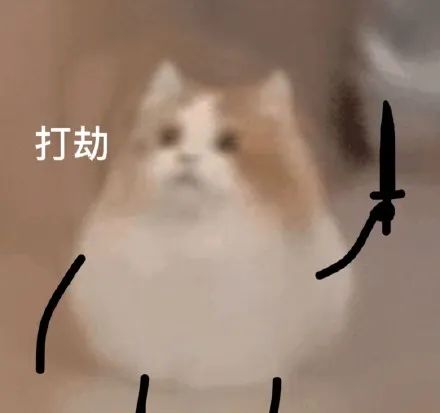 猫猫小表情