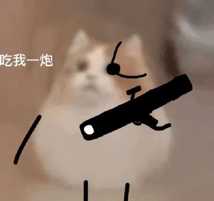 猫猫小表情