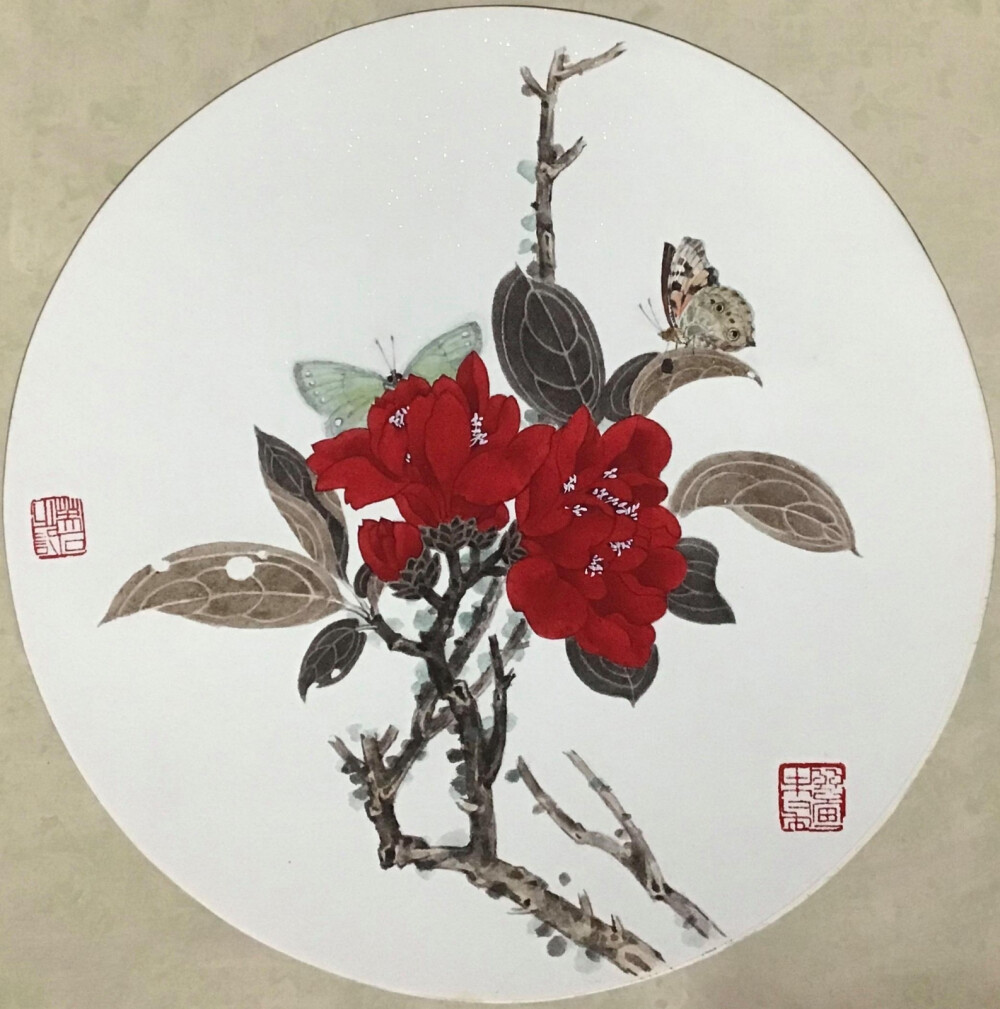 山茶花