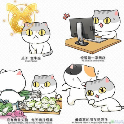 ◎假如历史是群喵[小喵们的星座]#壁纸(图片来源于网络)