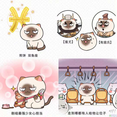 ◎假如历史是群喵[小喵们的星座]#壁纸(图片来源于网络)