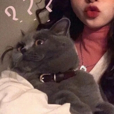 猫猫情侣头像 优质情头