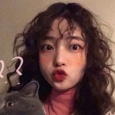 猫猫情侣头像 优质情头