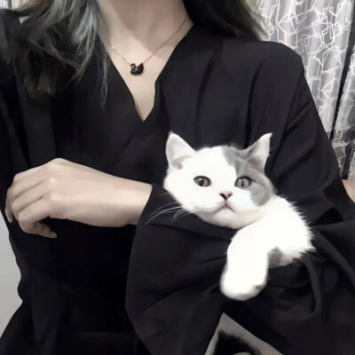 猫猫情侣头像 优质情头