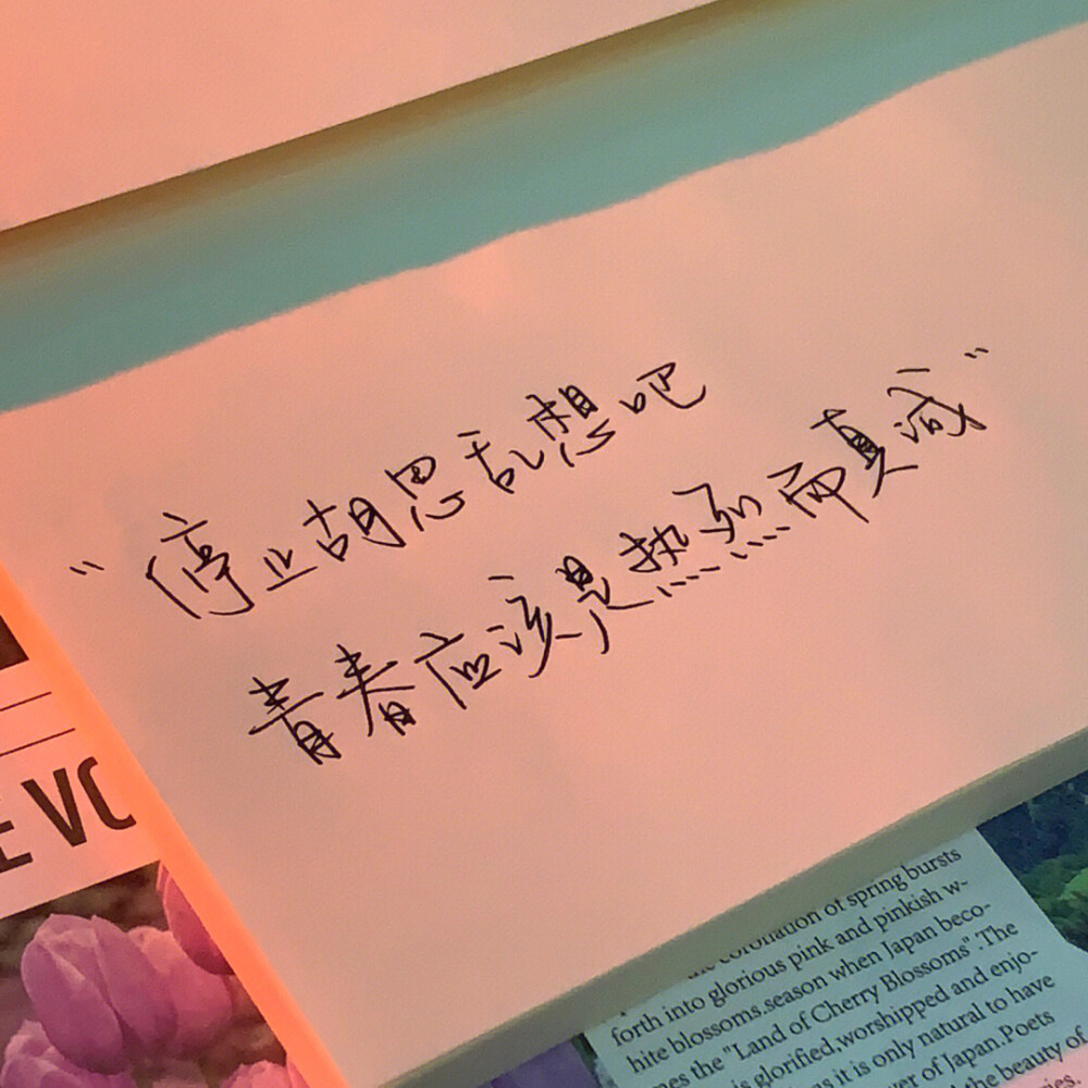 “我們都太急切的想要一個答案了”
手寫文案｜每日摘抄｜文字
手寫博主: 【草莓一個:】