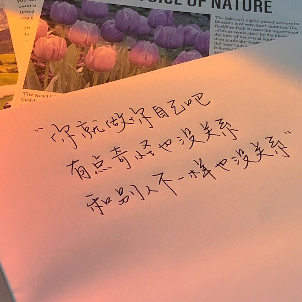 “我们都太急切的想要一个答案了”
手写文案｜每日摘抄｜文字
手写博主: 【草莓一个:】