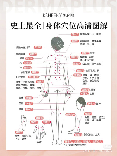 人体有365个穴位，一年刚好有365天；一年有四季，人体有四肢；人体有十二条经络，一年刚好十二个月