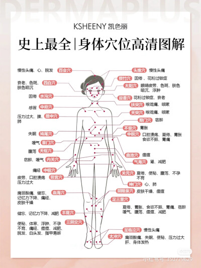 人体有365个穴位，一年刚好有365天；一年有四季，人体有四肢；人体有十二条经络，一年刚好十二个月