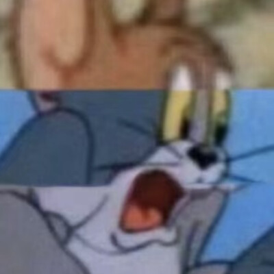 猫和老鼠表情包(｣╹□╹)
图源网络侵删致歉.