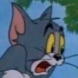 猫和老鼠表情包(｣╹□╹)
图源网络侵删致歉.