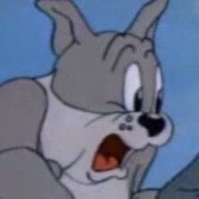 猫和老鼠表情包(｣╹□╹)
图源网络侵删致歉.