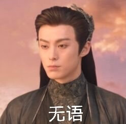 苍兰诀
东方青苍表情包