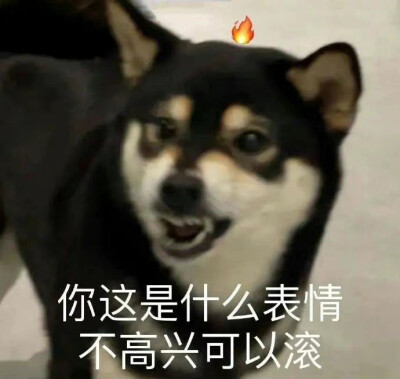 表情包