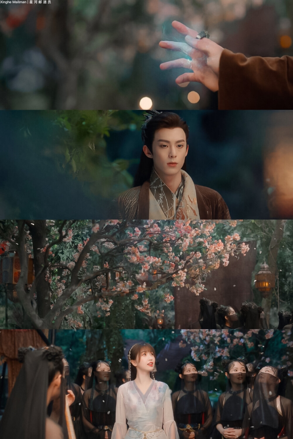 小兰花 · 东方青苍