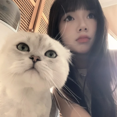 小猫咪 