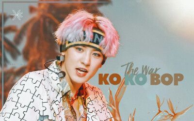 kokobop