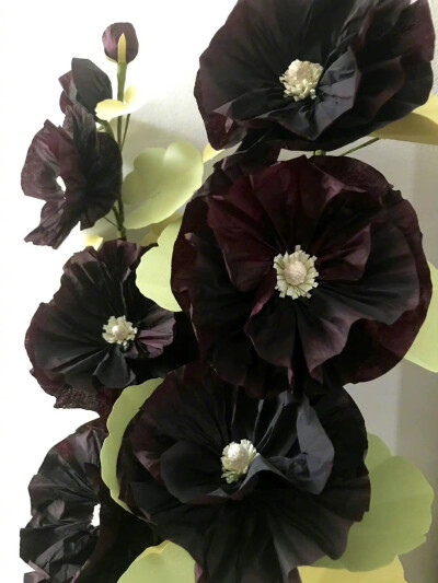 纸艺花，艺术家 Suzonne Stirling