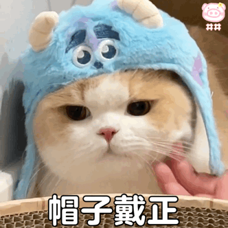 猫咪表情包动图
可爱的表情包