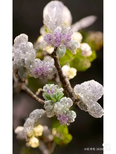 晶体花