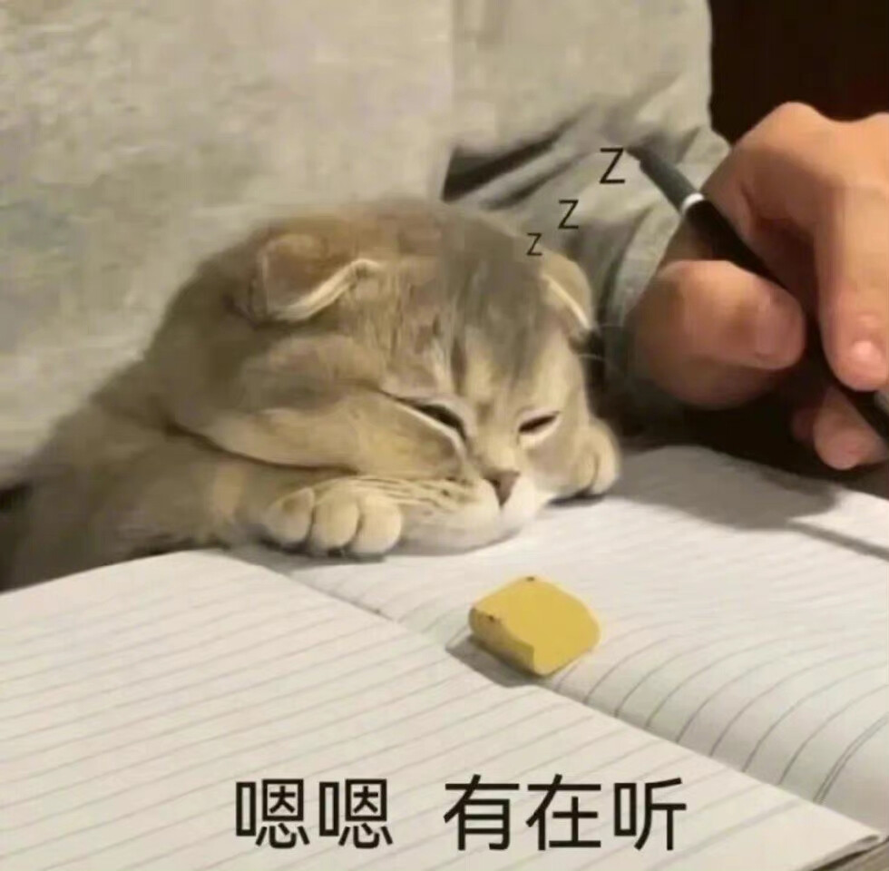 可爱猫咪表情包