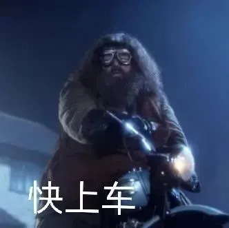 鲁伯•海格表情包