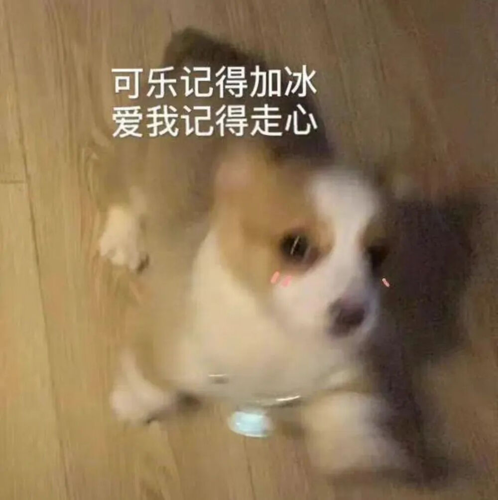 狗表情包