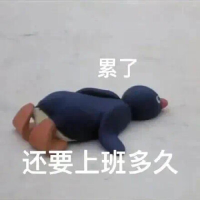 第一位表情包