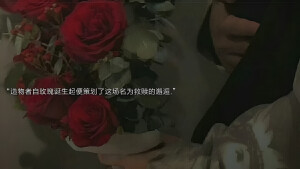 玫瑰语录
