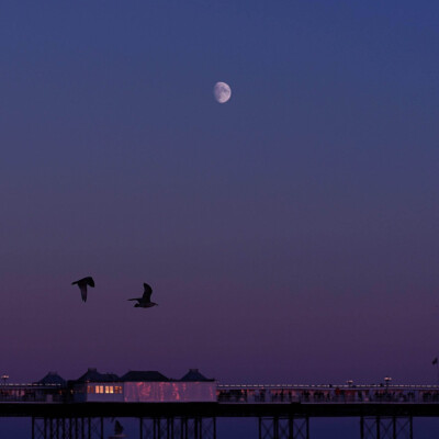 一直被拒绝就是会伤心