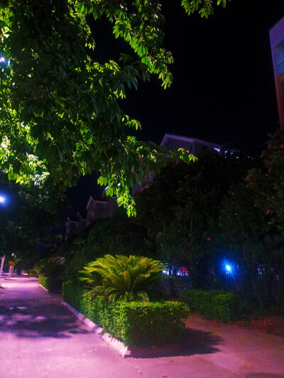 见过花开就好啦，何必在意花落谁家呢