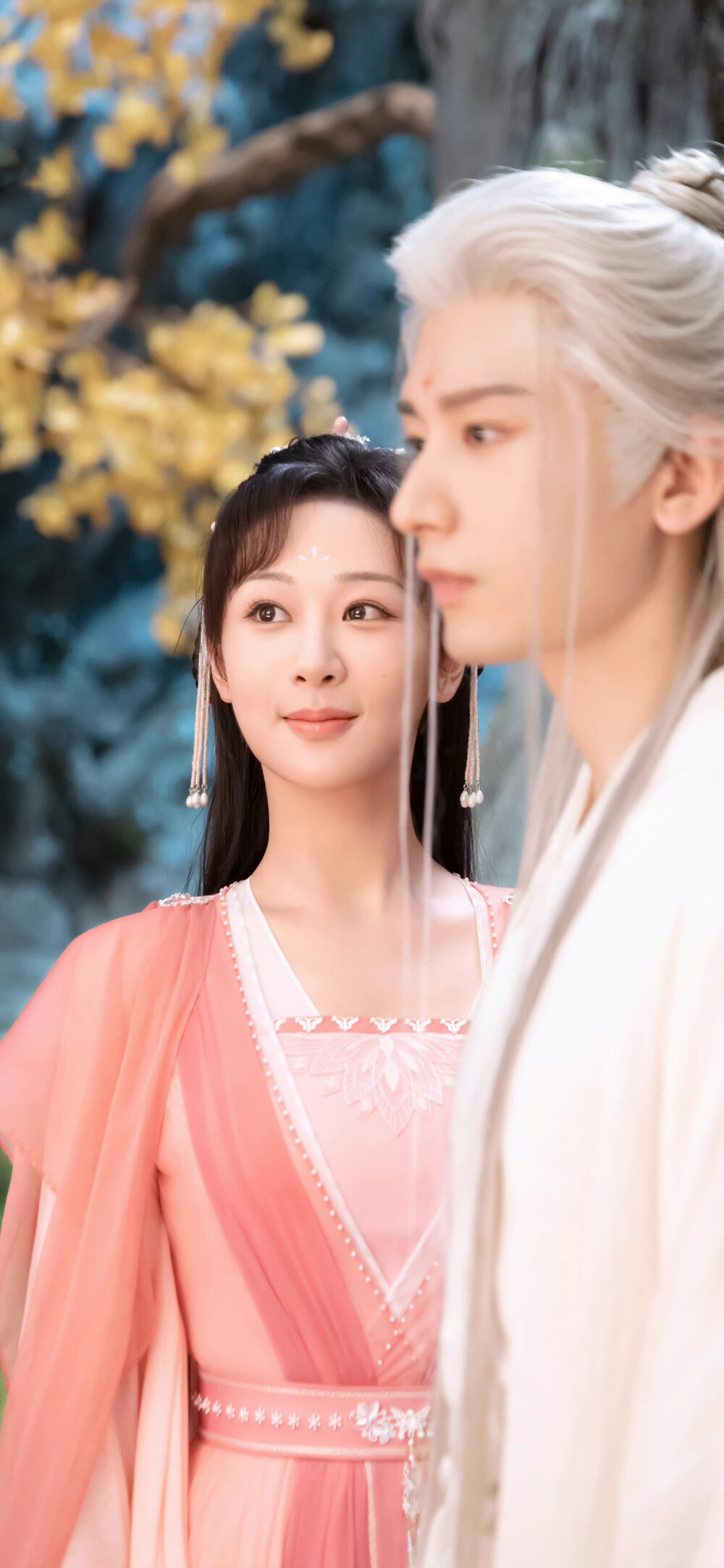 沉香夫妇