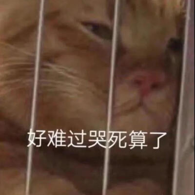 emo表情包