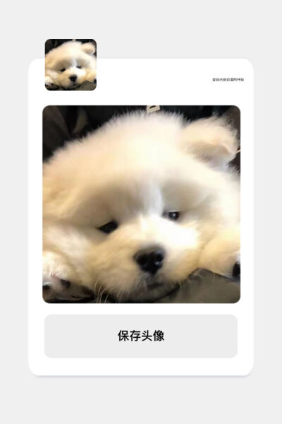 谁能拒绝这么可爱的修勾呢