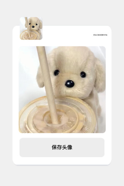 谁能拒绝这么可爱的修勾呢